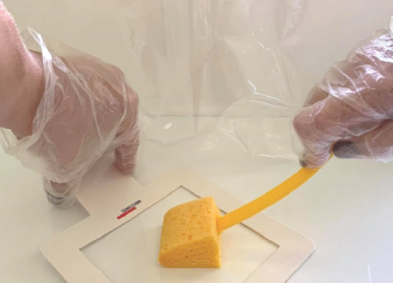 mecconti-sunger-swab-01