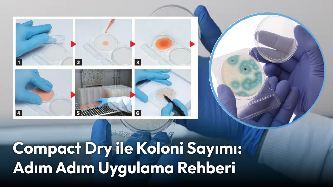 Compact Dry ile Koloni Sayımı: Adım Adım Uygulama Rehberi