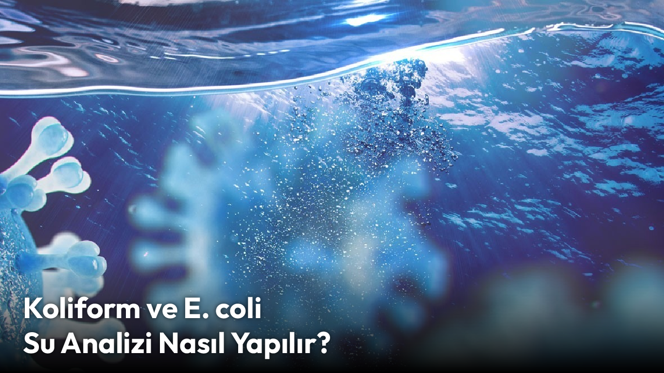 Koliform ve E. coli Su Analizi Nasıl Yapılır?